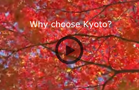 why-kyoto-1-480x313